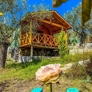 Kazdaglari Saglikli Yasam Koeyue Resort Edremit (Balikesir)